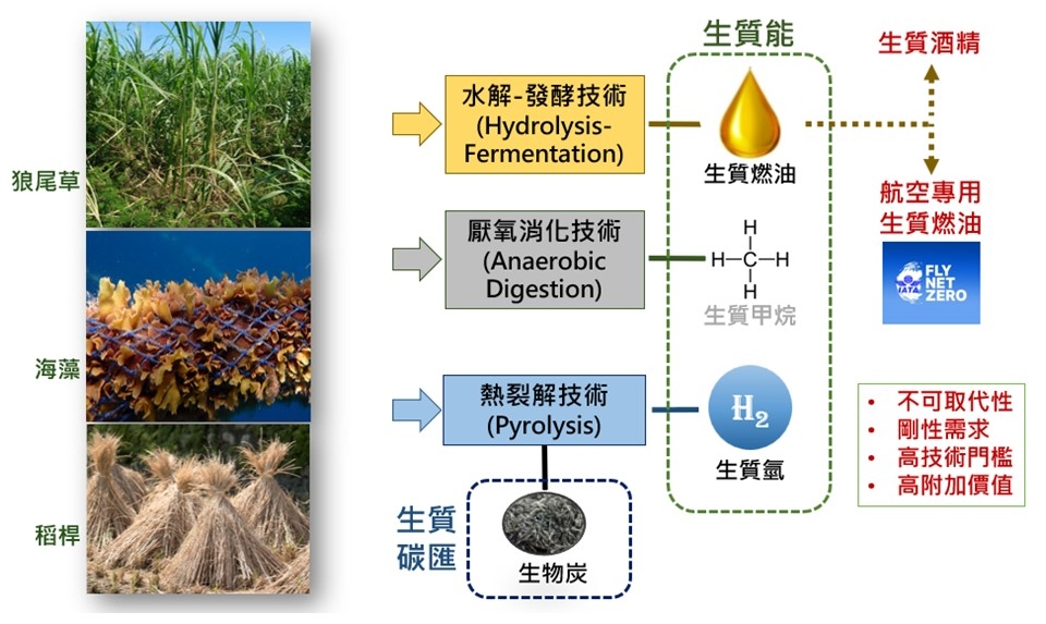 生質碳匯的原料來源、轉化技術及後續運用